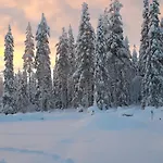 Arctic Giantlog * Rovaniemi