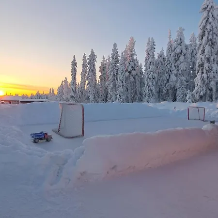 Arctic Giantlog With Private Ice Rink Вилла *