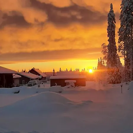 Arctic Giantlog *