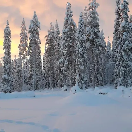 Arctic Giantlog With Private Ice Rink * Рованиеми