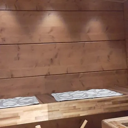 Arctic Giantlog With Private Ice Rink Рованиеми