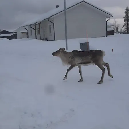 Arctic Giantlog Villa Rovaniemi