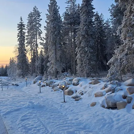 Вилла Arctic Giantlog With Private Ice Rink Рованиеми