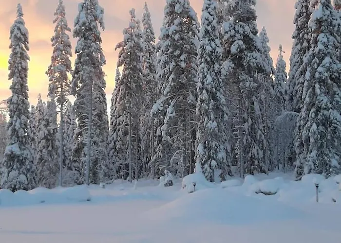 Arctic Giantlog * 로바니에미