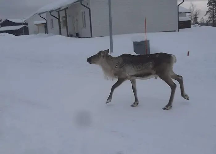 Arctic Giantlog 빌라 로바니에미